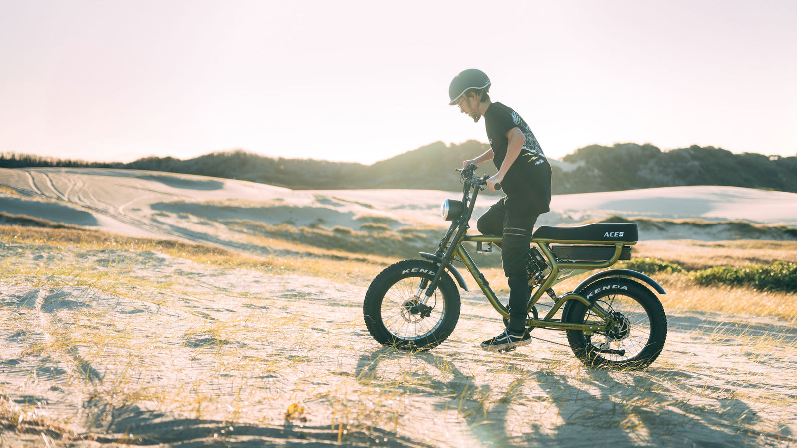 ACE Bike VS Other Brands - Which bike is better?