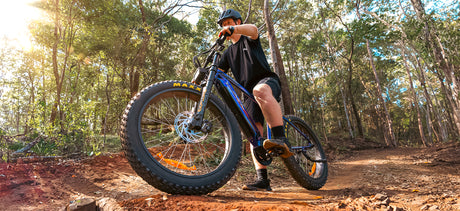 Challenger Electric Mountain Bikes