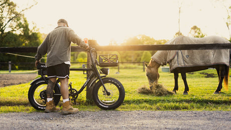 Cargo & Utility Bikes