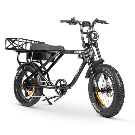 ACE-X Cargo MAX Electric Bike