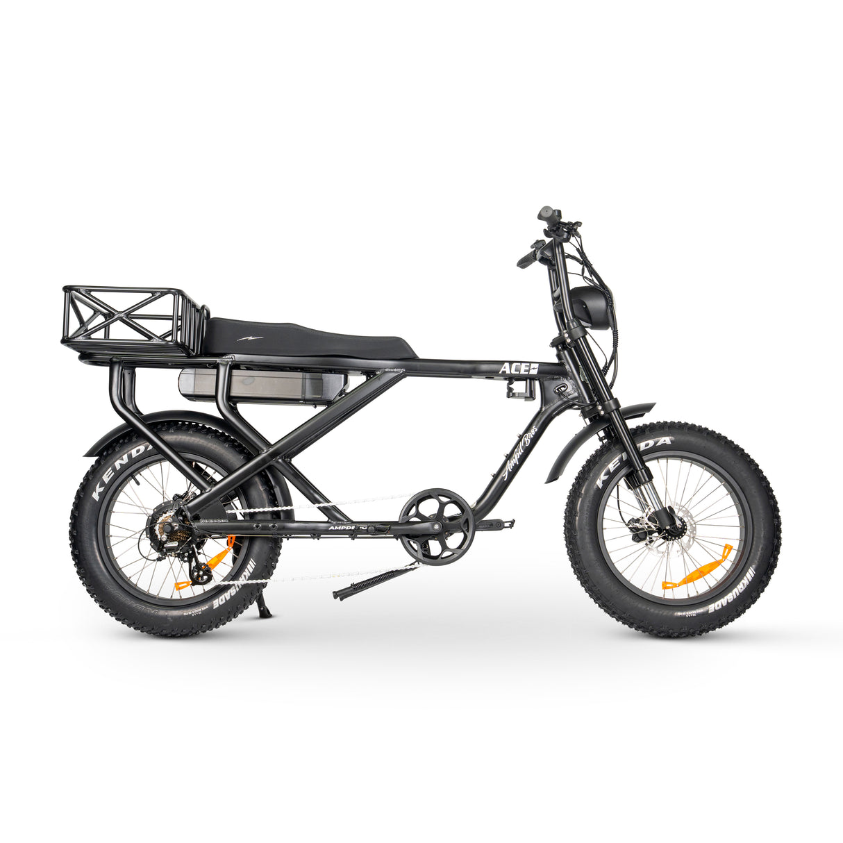 ACE-X Cargo MAX Electric Bike