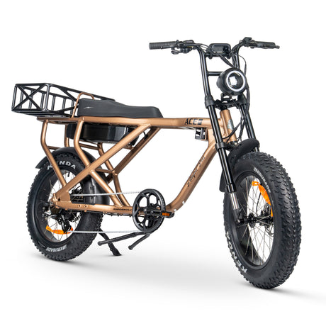 ACE-X Cargo MAX Electric Bike