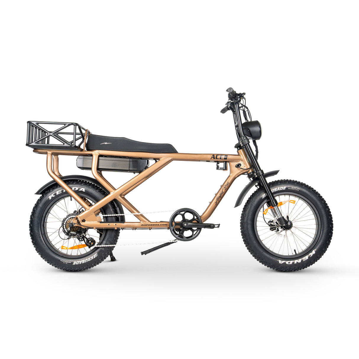 ACE-X Cargo MAX Electric Bike