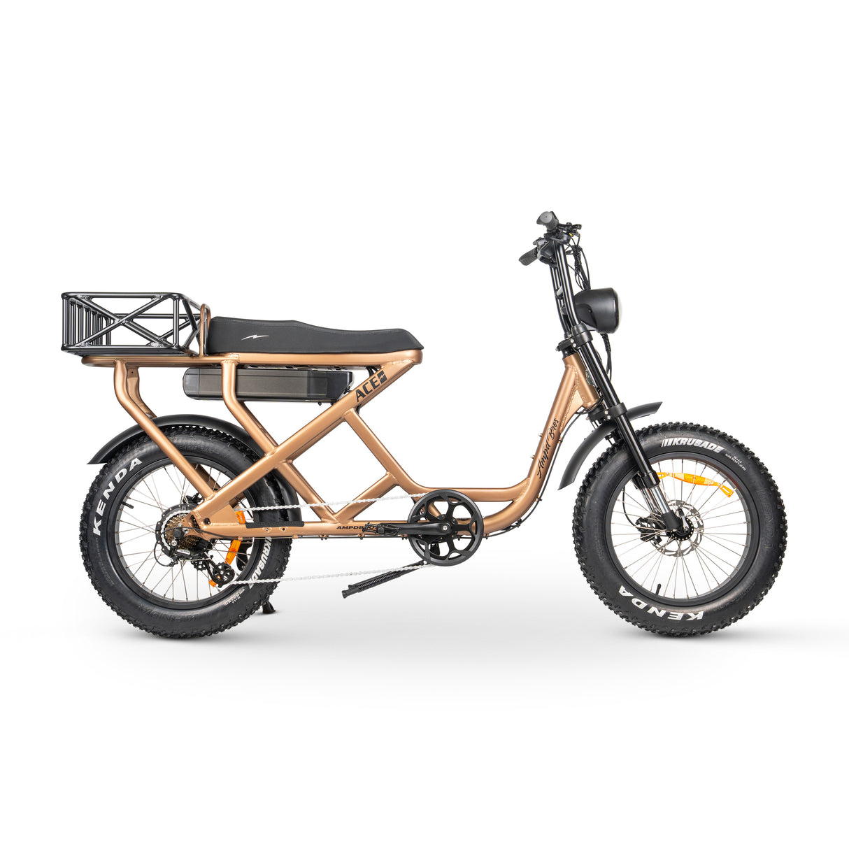 ACE-S Cargo MAX Electric Bike