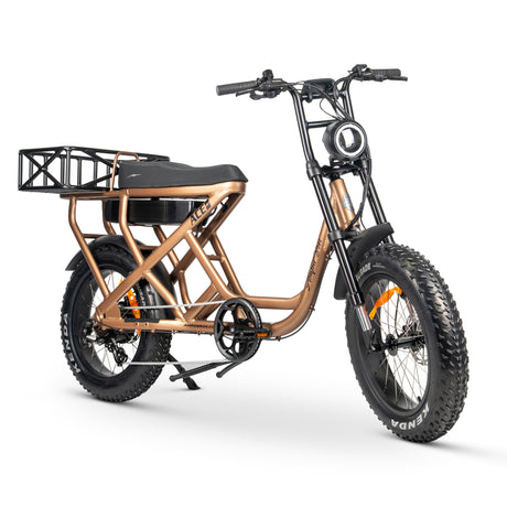 ACE-S Cargo MAX Electric Bike