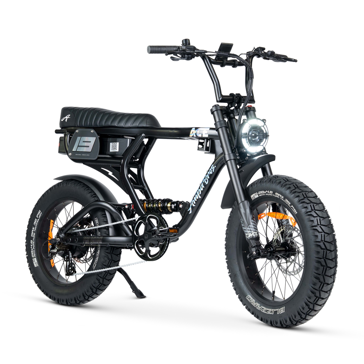 ACE PRO Electric Bike