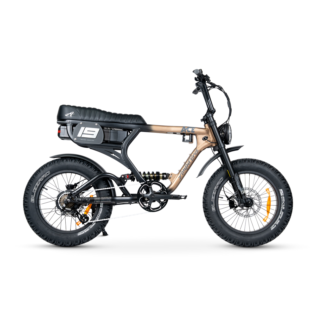 ACE PRO Electric Bike