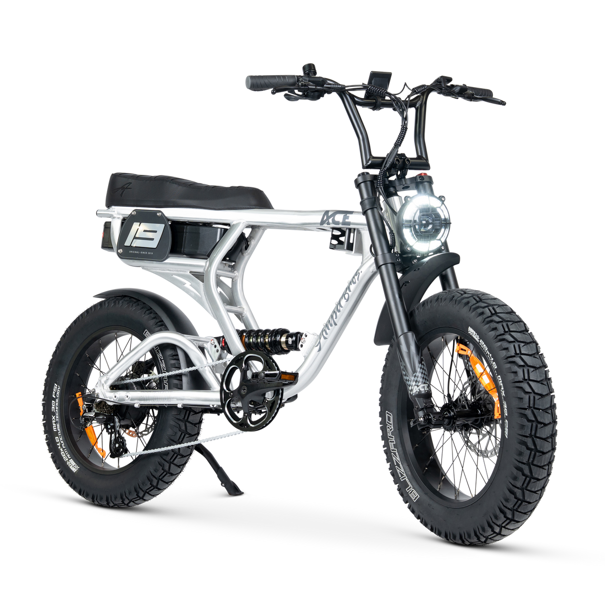 ACE PRO Electric Bike