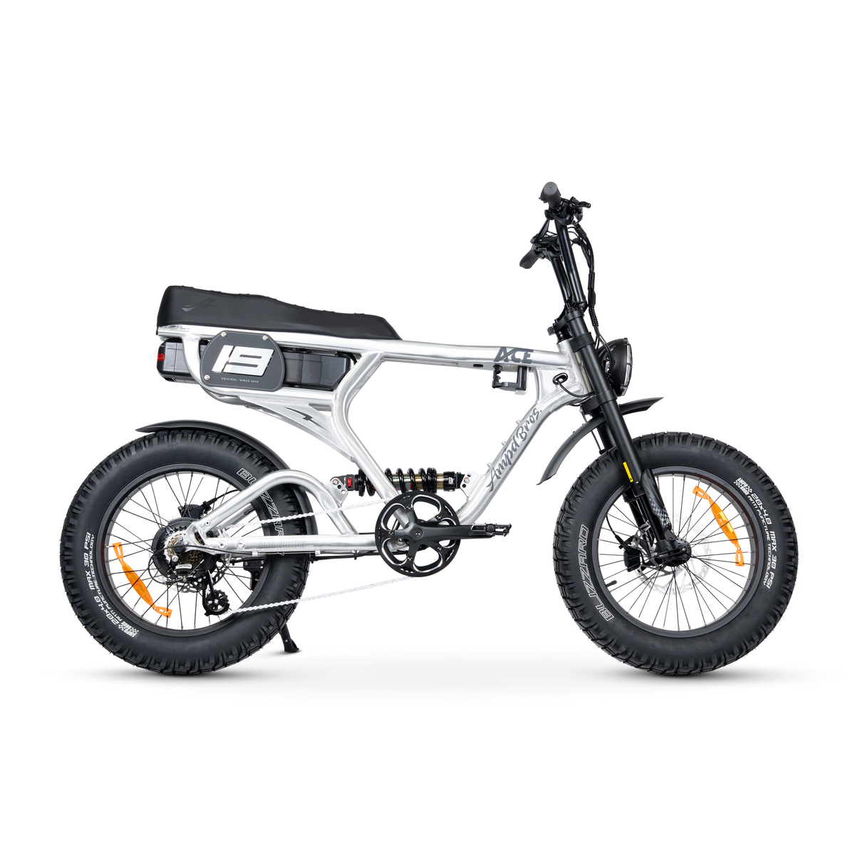 ACE PRO Electric Bike
