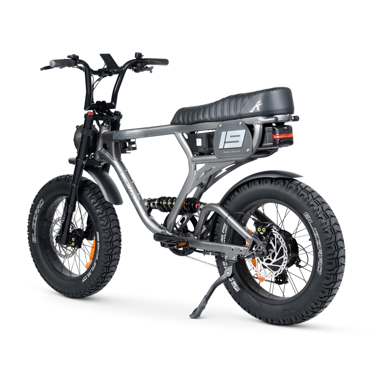 ACE PRO Electric Bike