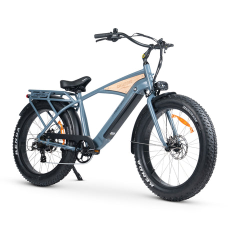 CHUBBIE V3 Electric Beach Cruiser