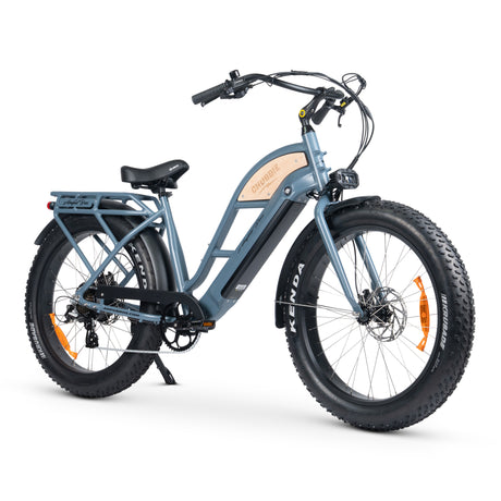 CHUBBIE-S V3 Electric Beach Cruiser