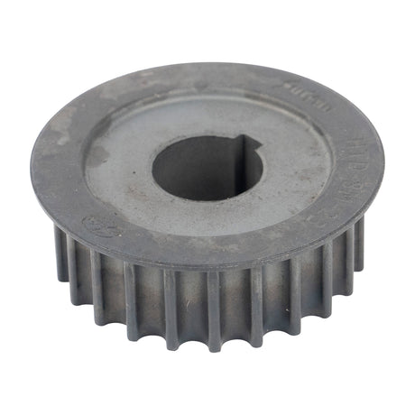 Light Bee Primary Drive Belt Pulley