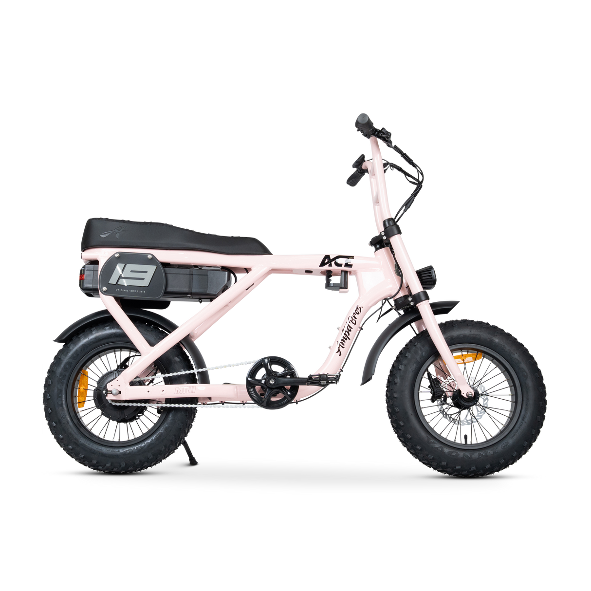 ACE Mini Electric Bike