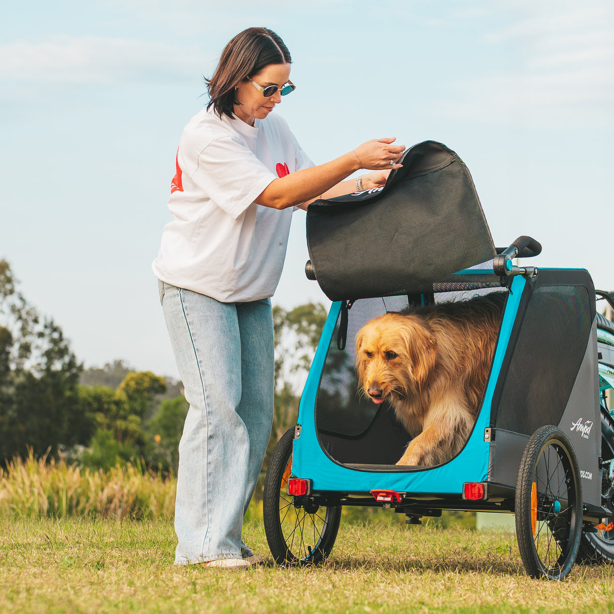 Pet Deluxe Bike Trailer