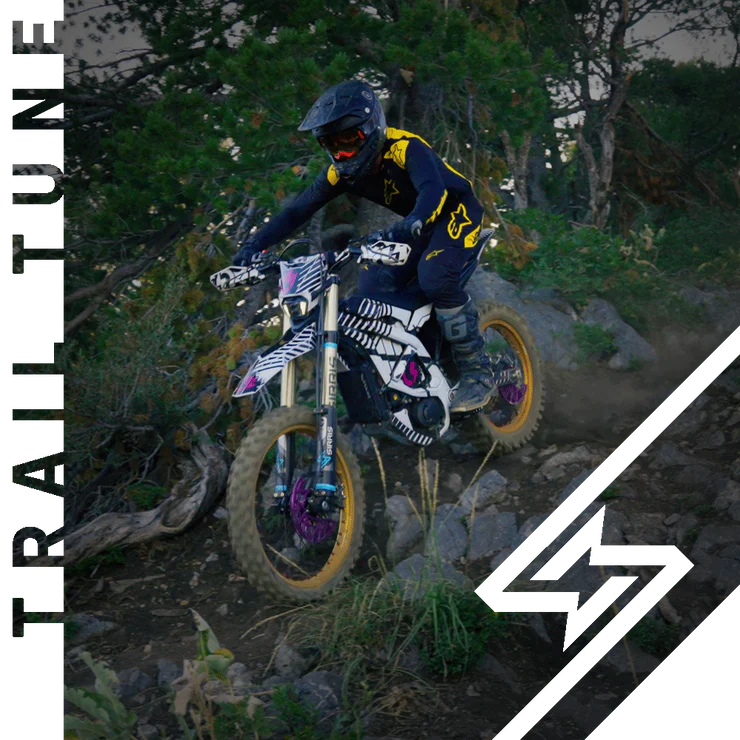 Ultra Bee Sirris R46 Trail Tune Shock