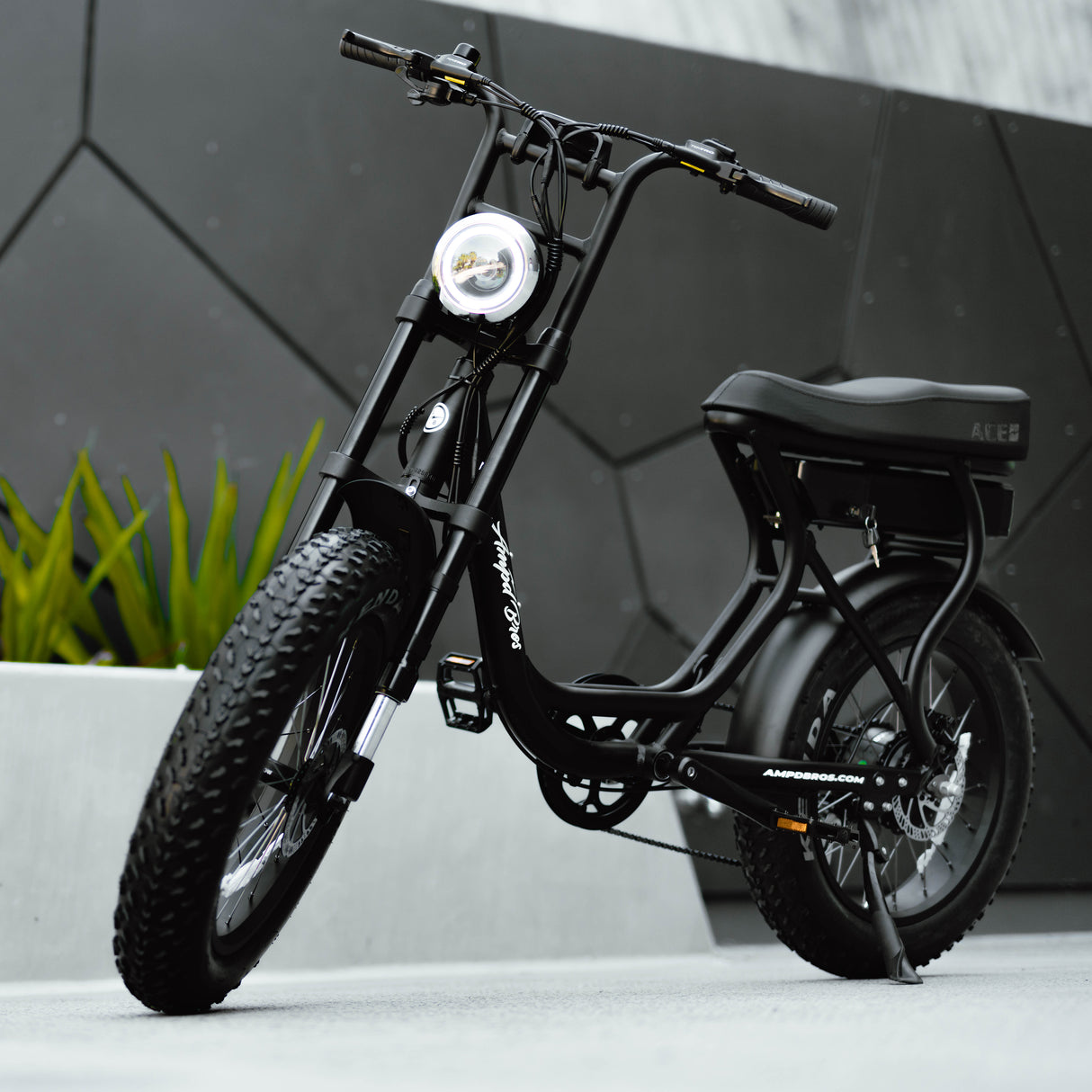 ACE-S Plus+ Electric Bike