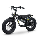 Lil Rippa 16" Kids Electric Bike