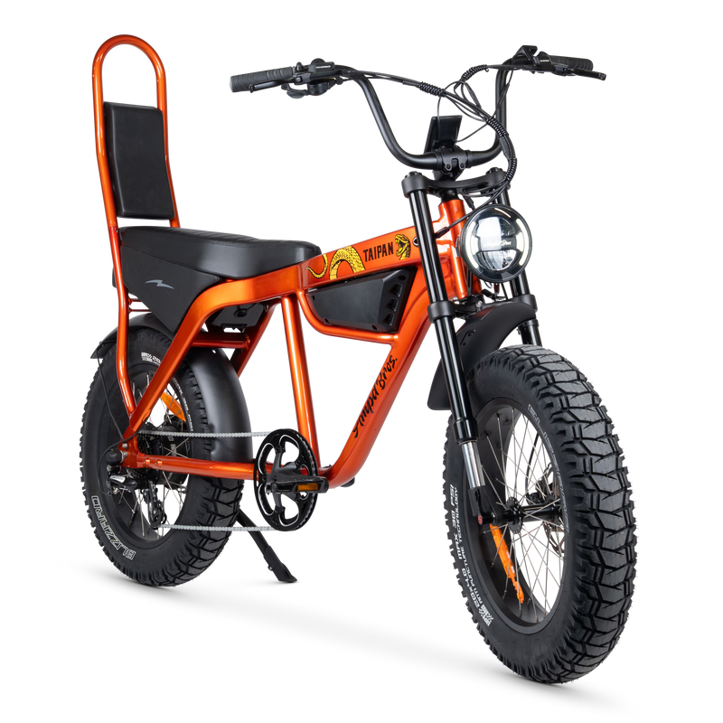 Taipan Electric Bike