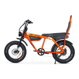 Taipan Electric Bike