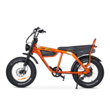 Taipan Electric Bike