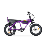 Taipan Electric Bike