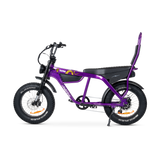 Taipan Electric Bike