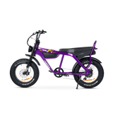 Taipan Electric Bike