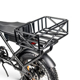 ACE-S Cargo MAX Electric Bike