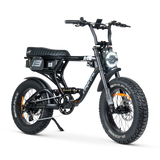 ACE PRO Electric Bike
