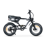 ACE PRO Electric Bike