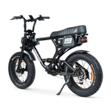 ACE PRO Electric Bike