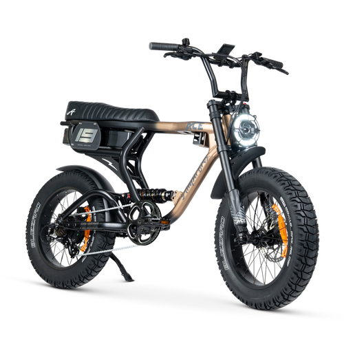 ACE PRO Electric Bike