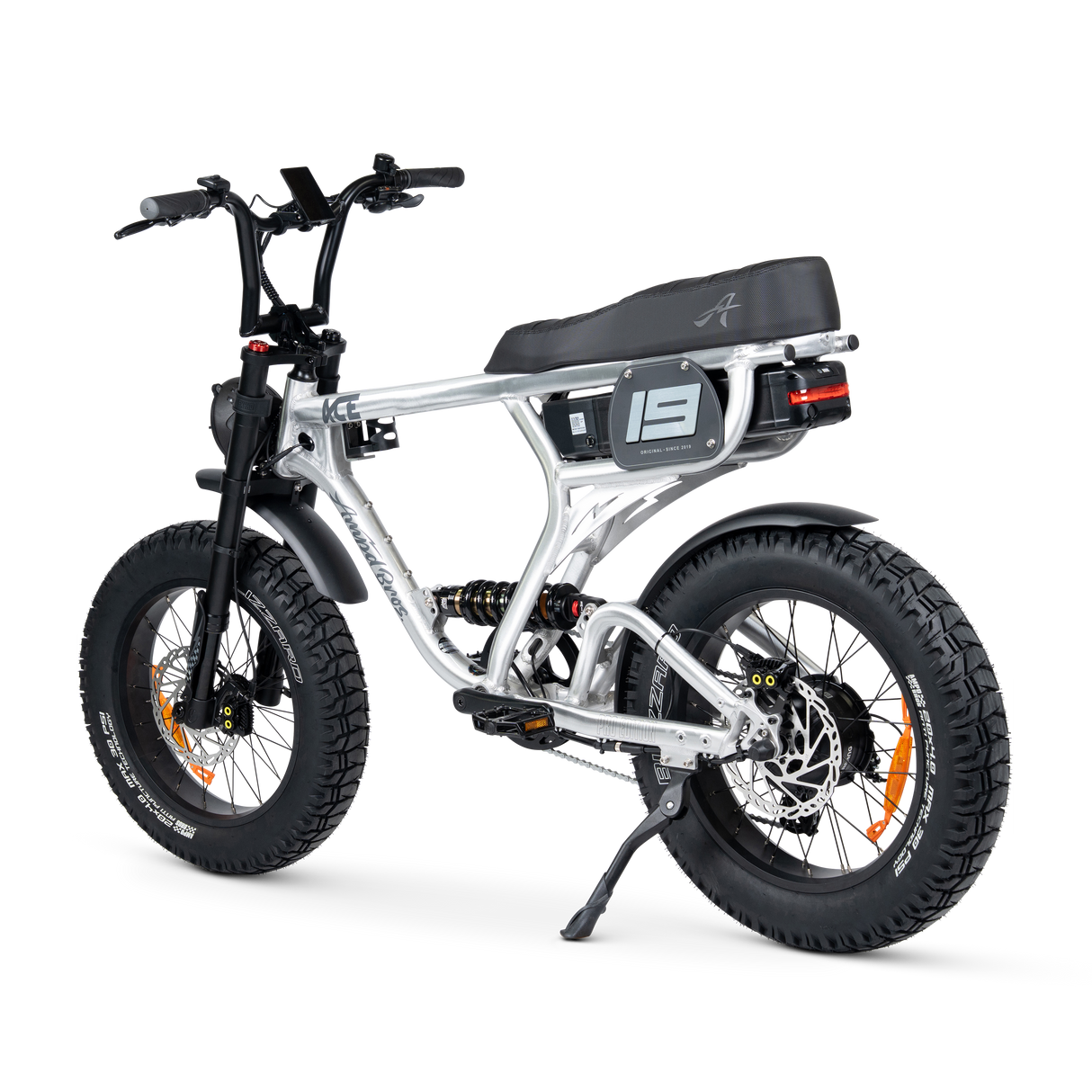 ACE PRO Electric Bike