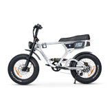 ACE PRO Electric Bike
