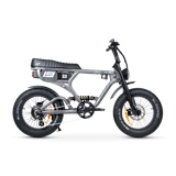 ACE PRO Electric Bike