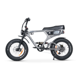 ACE PRO Electric Bike