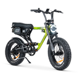 ACE PRO Electric Bike
