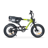 ACE PRO Electric Bike