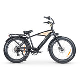 CHUBBIE V3 Electric Beach Cruiser
