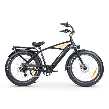 CHUBBIE 3 Electric Bike