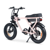 ACE-X Plus+ Electric Bike
