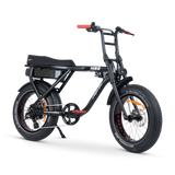 ACE-X Street Electric Bike