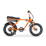 ACE-X Street Electric Bike