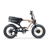 ACE-X Demon Dual Electric Bike