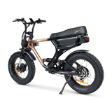 ACE-X Demon Dual Electric Bike