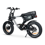 ACE-X Demon S5 Dual Electric Bike