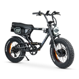 ACE-X Demon S5 Dual Electric Bike