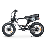 ACE-X Demon S5 Dual Electric Bike