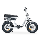 ACE-S Mini Electric Bike